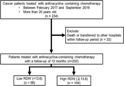 Red Blood Cell Distribution Width Is a Predictive Factor of Anthracycline-Induced Cardiotoxicity